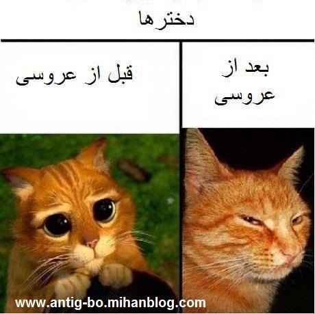 قیافه دخترا قبل عروسی،بعد عروسی